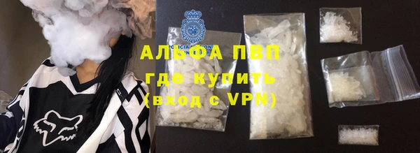 гидра Абаза