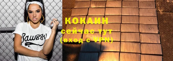 гидра Абаза