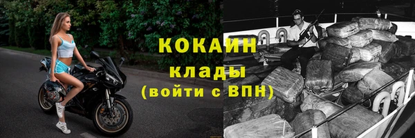 гидра Абаза