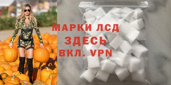 гидра Абаза
