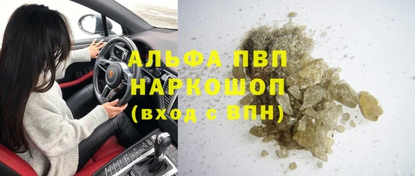 гидра Абаза