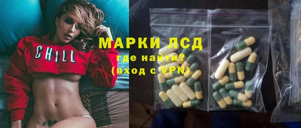гидра Абаза