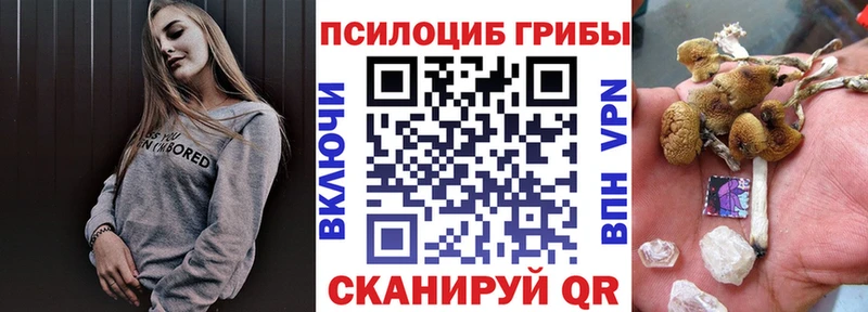 купить наркотики сайты  Нерчинск  Галлюциногенные грибы мухоморы 